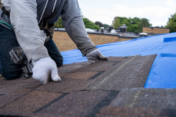 Best Gutter Installation and Roofing  in Poquott, NY